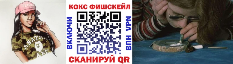 COCAIN Fish Scale  мега ССЫЛКА  Сланцы 