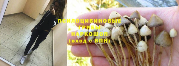 мяу мяу мука Переславль-Залесский