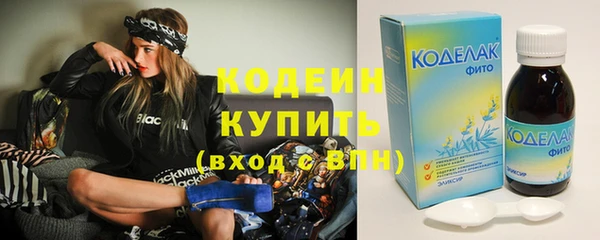 сатива Нестеровская
