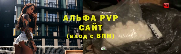 прущий лед Пересвет