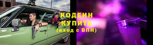 прущий лед Пересвет