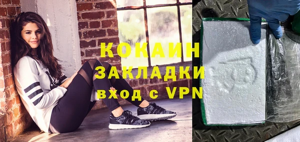 тгк Ельня