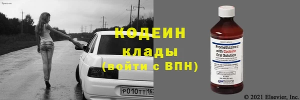 прущий лед Пересвет