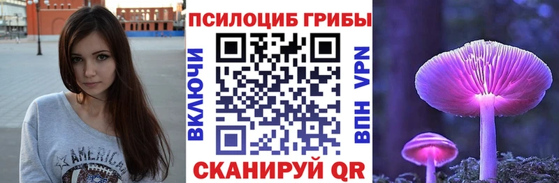 Галлюциногенные грибы Cubensis  Сланцы 