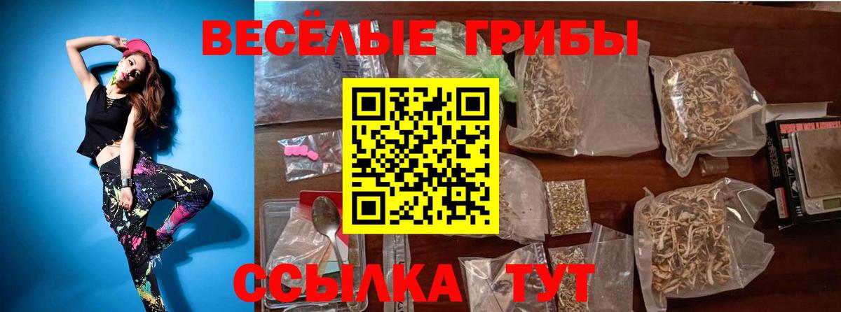 Галлюциногенные грибы Magic Shrooms Сланцы