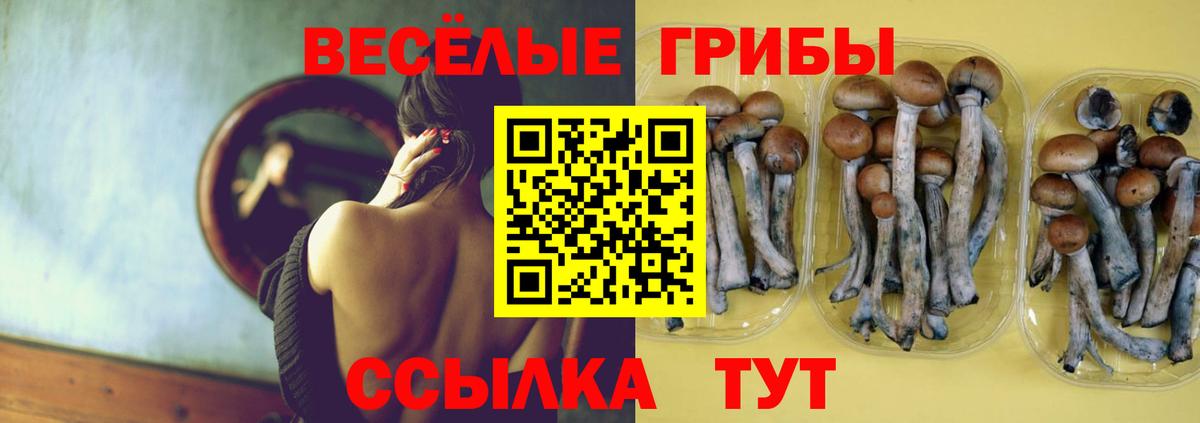 Псилоцибиновые грибы MAGIC MUSHROOMS  купить  цена  Сланцы  Псилоцибиновые грибы Magic Shrooms  Вход с VPN 